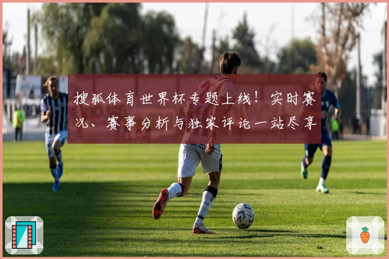 搜狐体育世界杯专题上线！实时赛况、赛事分析与独家评论一站尽享