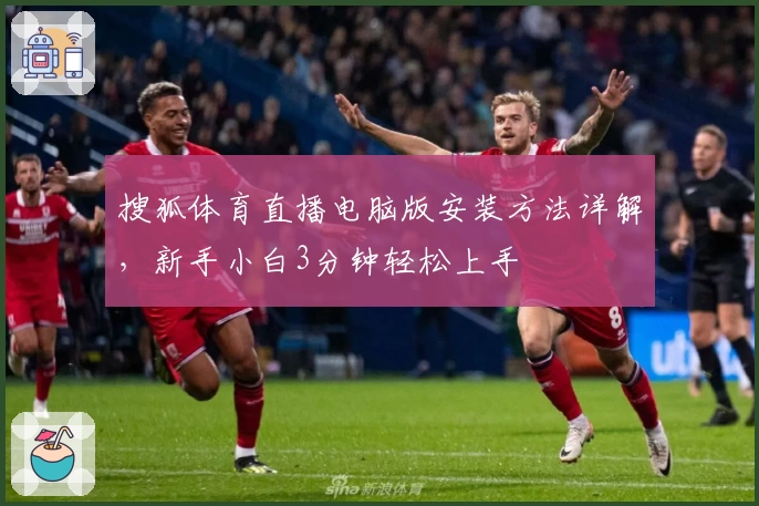 搜狐体育直播电脑版安装方法详解,新手小白3分钟轻松上手