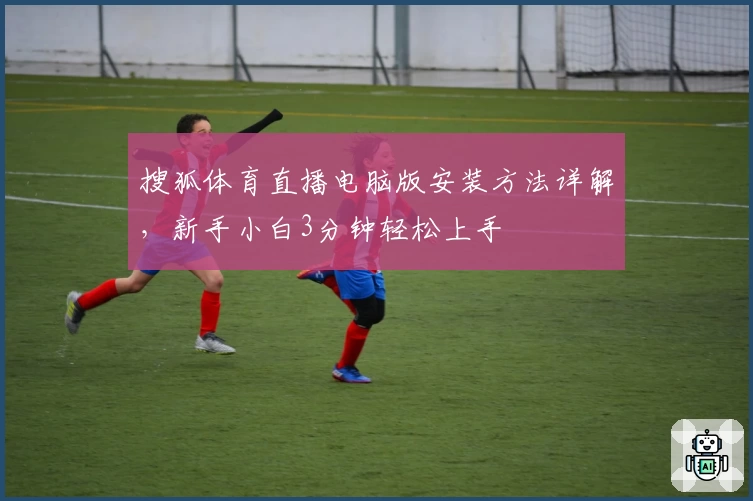 搜狐体育直播电脑版安装方法详解，新手小白3分钟轻松上手