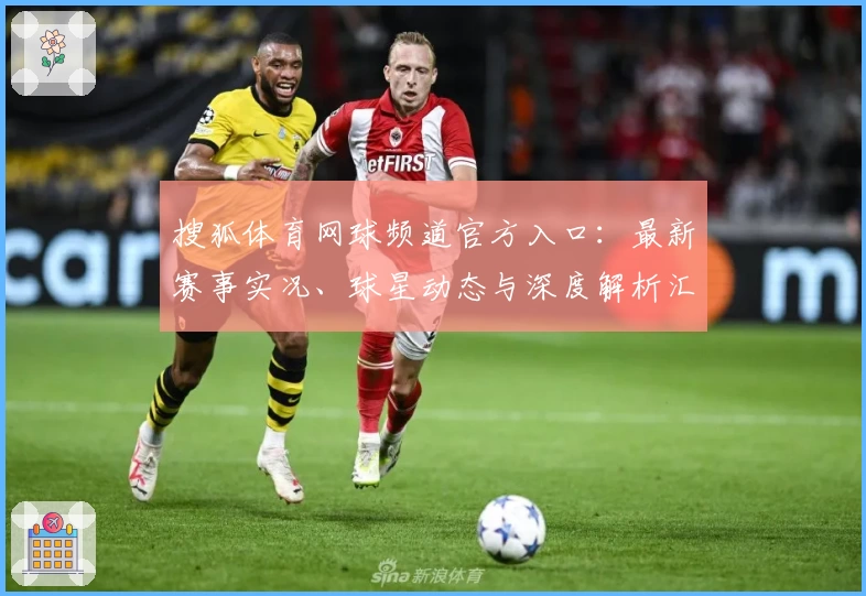 搜狐体育网球频道官方入口：最新赛事实况、球星动态与深度解析汇总