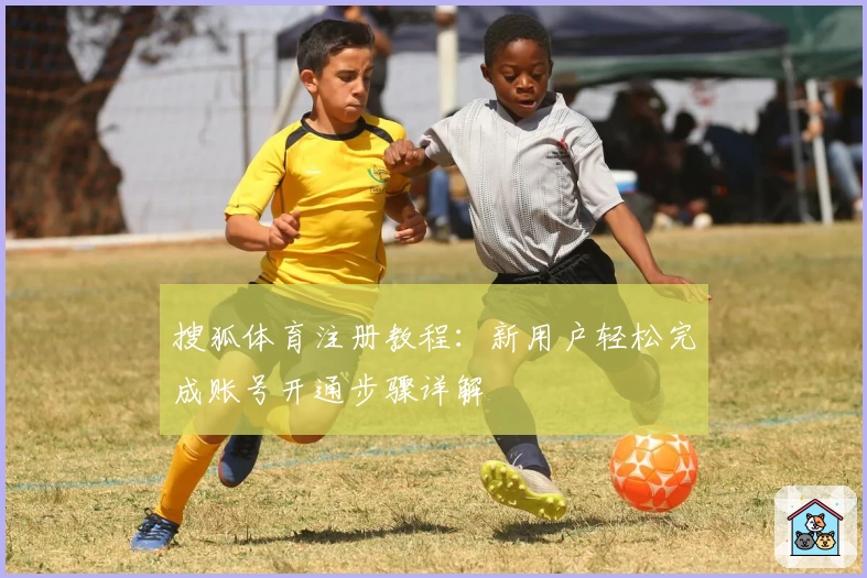 搜狐体育注册教程：新用户轻松完成账号开通步骤详解